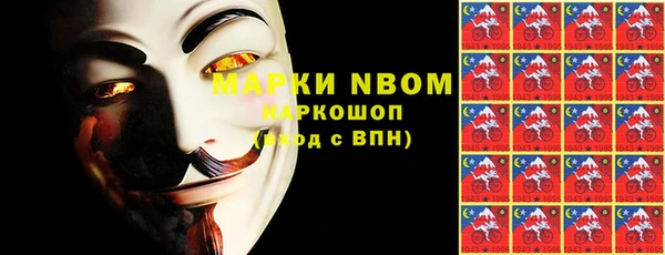 индика Арсеньев