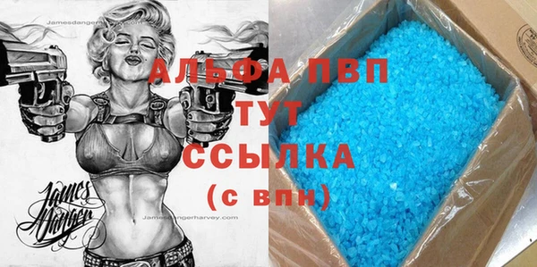 индика Арсеньев