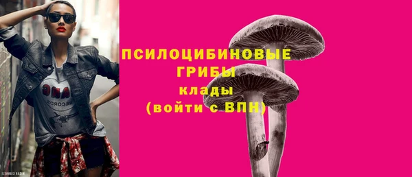 индика Арсеньев