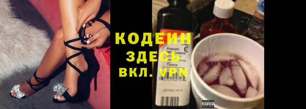 твердый Аркадак
