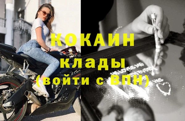 индика Арсеньев