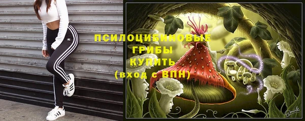 индика Арсеньев