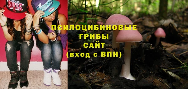 твердый Аркадак