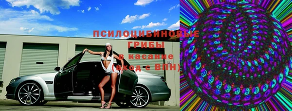 индика Арсеньев