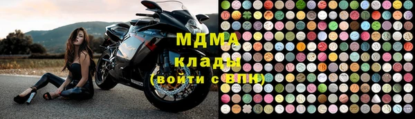 индика Арсеньев