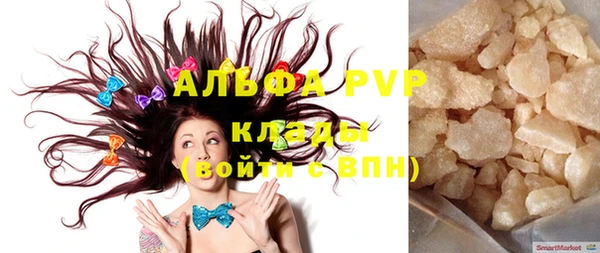 индика Арсеньев